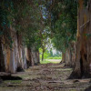 Отель Hacienda Histórica Marchigüe, фото 39