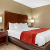 Отель Comfort Inn & Suites Cincinnati Eastgate, фото 5