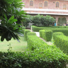 Отель Pal Garh Heritage Hotel, фото 9