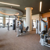 Отель Locale Medical Center - Houston, фото 22