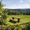 Отель Ferienwohnung An den Kurwiesen, фото 11