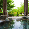Отель Takato Sakura Hotel, фото 1