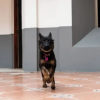 Отель OM Huatulco, фото 40