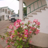 Отель Parotas Manzanillo, фото 10