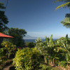 Отель Cicak Senang Resort, фото 9