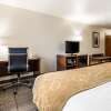 Отель Comfort Suites Foxfire, фото 6
