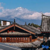 Отель Time Linxi Senoxue Snow Mountain View Resort Hotel (Lijiang Ancient City Dashuiche Branch), фото 19