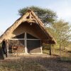 Отель Robanda Tented Camp, фото 1