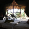 Отель Zarafa Tented Camp, фото 21