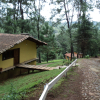 Отель Cabanas El Pinar, фото 5