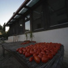 Отель Mater Bed & Food, фото 2