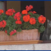 Отель Apartamentos La Montañesa, фото 31