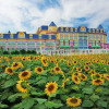 Отель Floloving Hotel, фото 27
