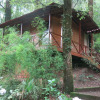 Отель Ayar Jungle Resort, фото 7