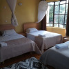 Отель House of Two Birds, фото 16