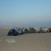 Отель White Desert Camp, фото 11