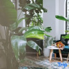 Отель Funsenge Riad Guesthouse, фото 5