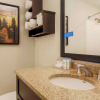 Отель Hampton Inn & Suites Denver Tech Center, фото 9
