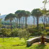 Отель Villa Pine Forest, фото 37