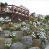 Отель Yangpyeong White Castle Pension, фото 1