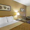 Отель Comfort Inn, фото 7