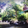 Отель Tabin Wildlife Resort, фото 11