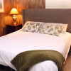 Отель Black Bear Crossing - Pet Friendly - Newly Remodeled, фото 5