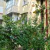 Уютные 3-комнатные апартаменты на Ленина в Сочи