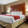 Отель Comfort Inn & Suites, фото 19