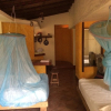 Отель Posada Inn Los Jacalitos, фото 2