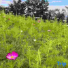 Отель Vanke Songhua Lake - Nordic Town Holiday Apartment, фото 22