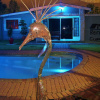 Отель Berry Bliss Guest House, фото 14
