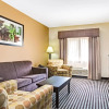 Отель Baymont Inn And Suites Dallas Love Field, фото 16