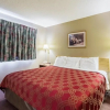Отель Econo Lodge Ortonville, фото 4