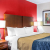 Отель Comfort Inn Alpharetta - Atlanta North, фото 4