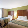 Отель Comfort Inn & Suites Fayetteville - University Area, фото 6