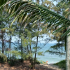 Отель An Bang Beach Hideaway Homestay, фото 24