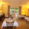Отель Willow Lodge, фото 35
