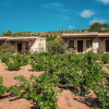 Отель Bagbadem Tatil Ciftliği, фото 29