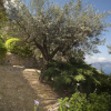 Отель Villa Sterlizia, фото 22