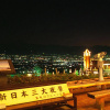 Отель Toyoko Inn Kofu Station Minami 2, фото 12