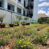 Отель Cu Lao Xanh Homestay, фото 19