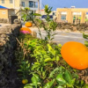 Отель Jeju Woljeong Peanuts Pension, фото 1
