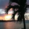 Отель Arawak Beach Inn, фото 16