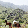 Отель Lazy C Ranch, фото 20