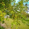 Отель Fazenda Recanto, фото 29