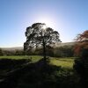 Отель The Cottage, Beeston Hall, фото 14