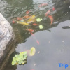 Отель Hengyang Qiyu Mountain Homestay (Nanyue Hengshan Scenic Spot Branch), фото 11