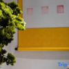 Отель Jiuhuashan Jiuyi Youxuan Homestay (Meat Body Palace Branch), фото 13