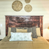 Отель Bright El Paso Studio Near Area Attractions!, фото 2